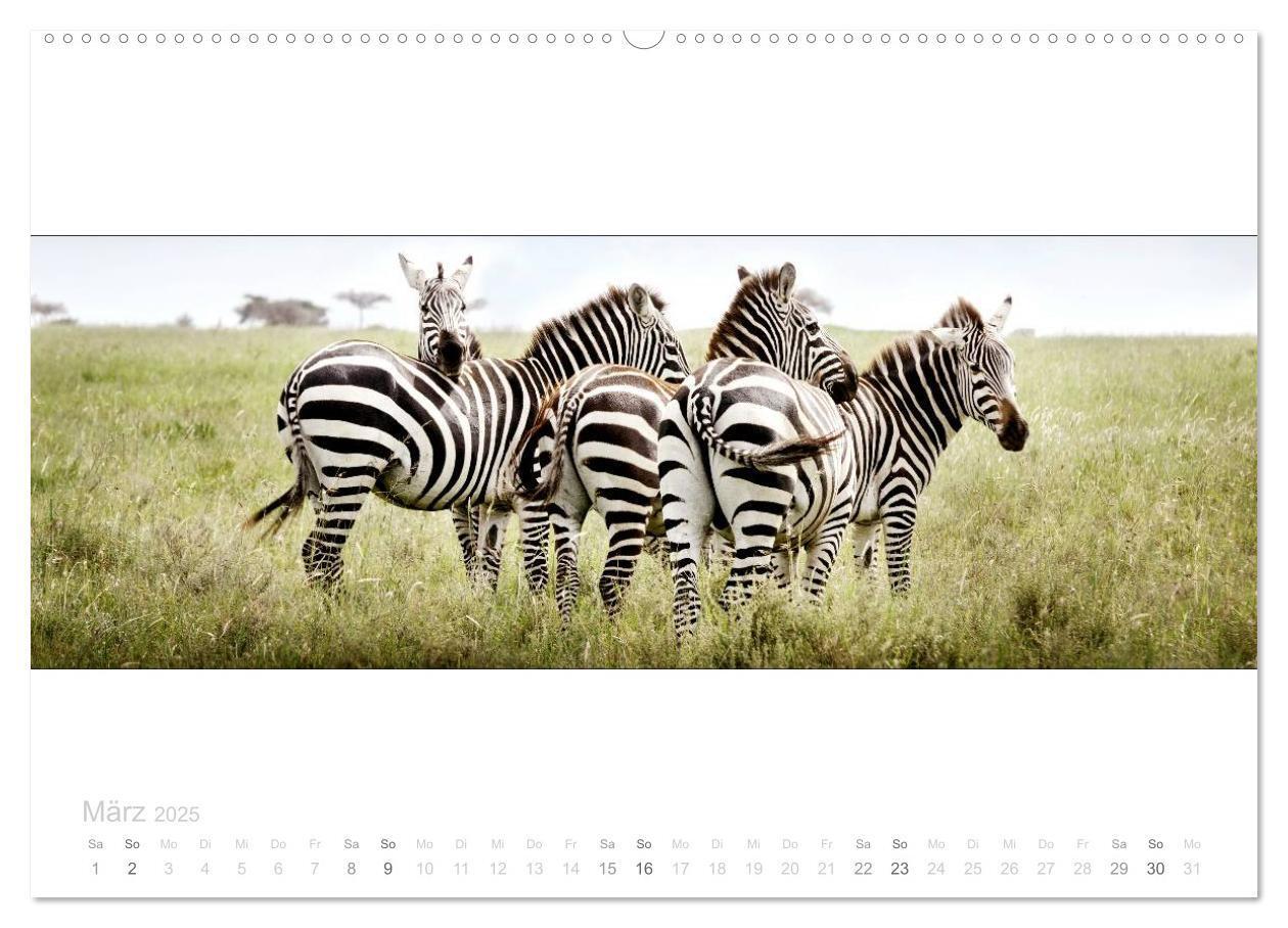 Bild: 9783435685547 | Serengeti Panorama (hochwertiger Premium Wandkalender 2025 DIN A2...