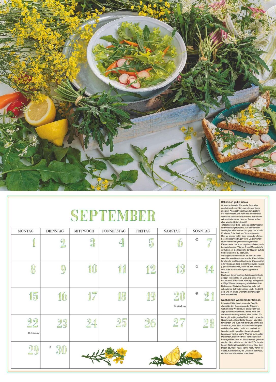 Bild: 4250809652870 | DUMONTS Aromatische Kräuter 2025 - Broschürenkalender -...