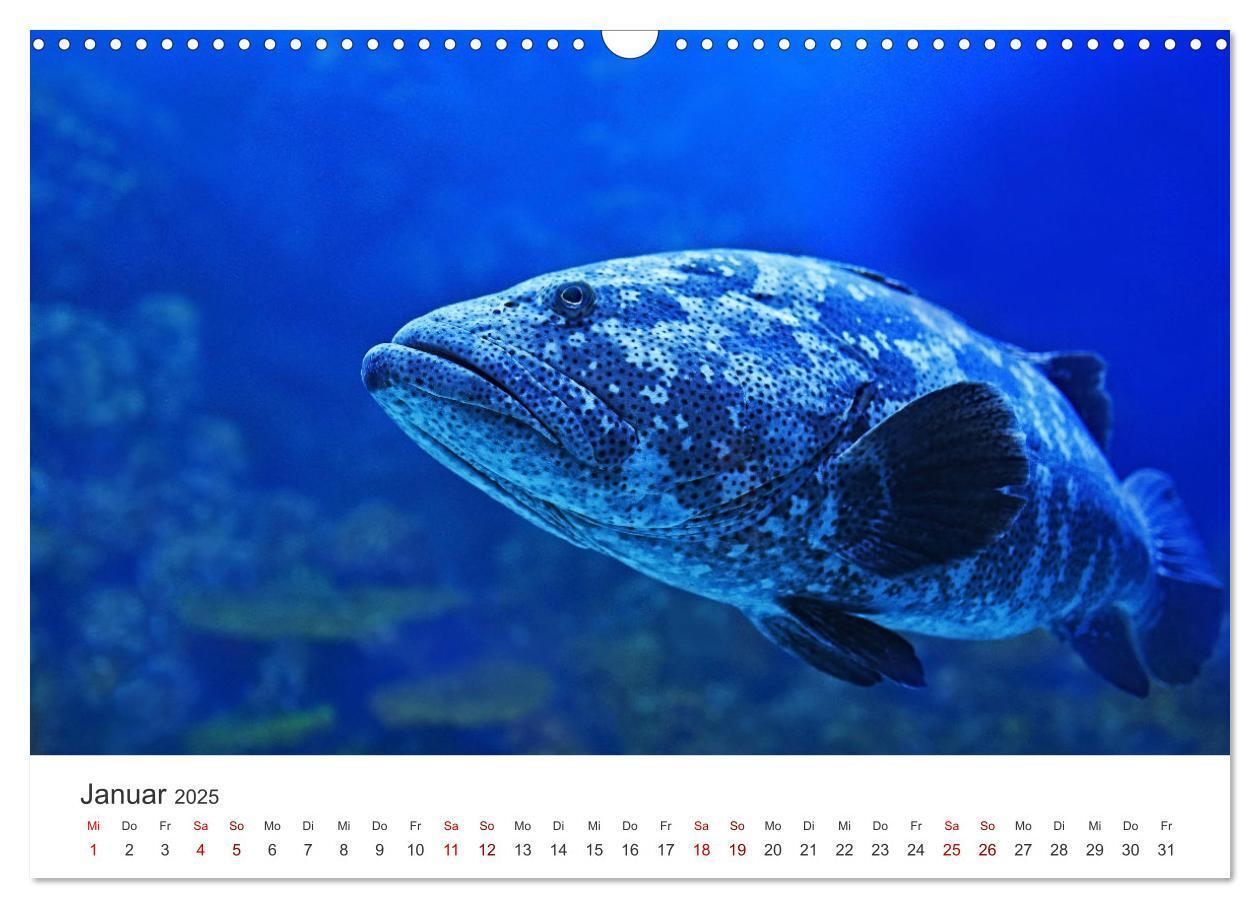 Bild: 9783383938290 | Tiefsee - Ein Abenteuer ins Unbekannte. (Wandkalender 2025 DIN A3...