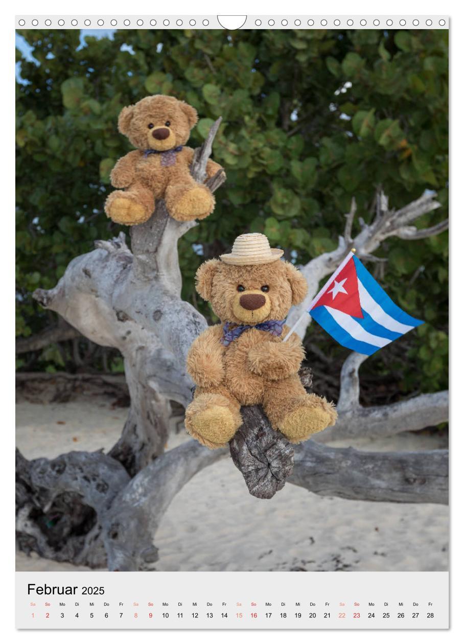 Bild: 9783435935093 | Travelling Teddy auf Welt-Tour (Wandkalender 2025 DIN A3 hoch),...