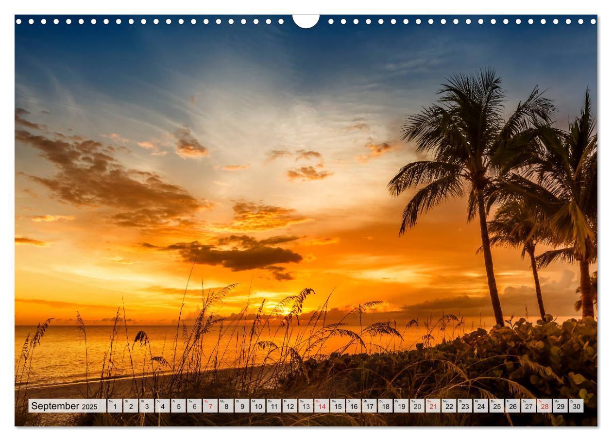 Bild: 9783435805419 | FLORIDA Paradiesischer Sonnenscheinstaat (Wandkalender 2025 DIN A3...