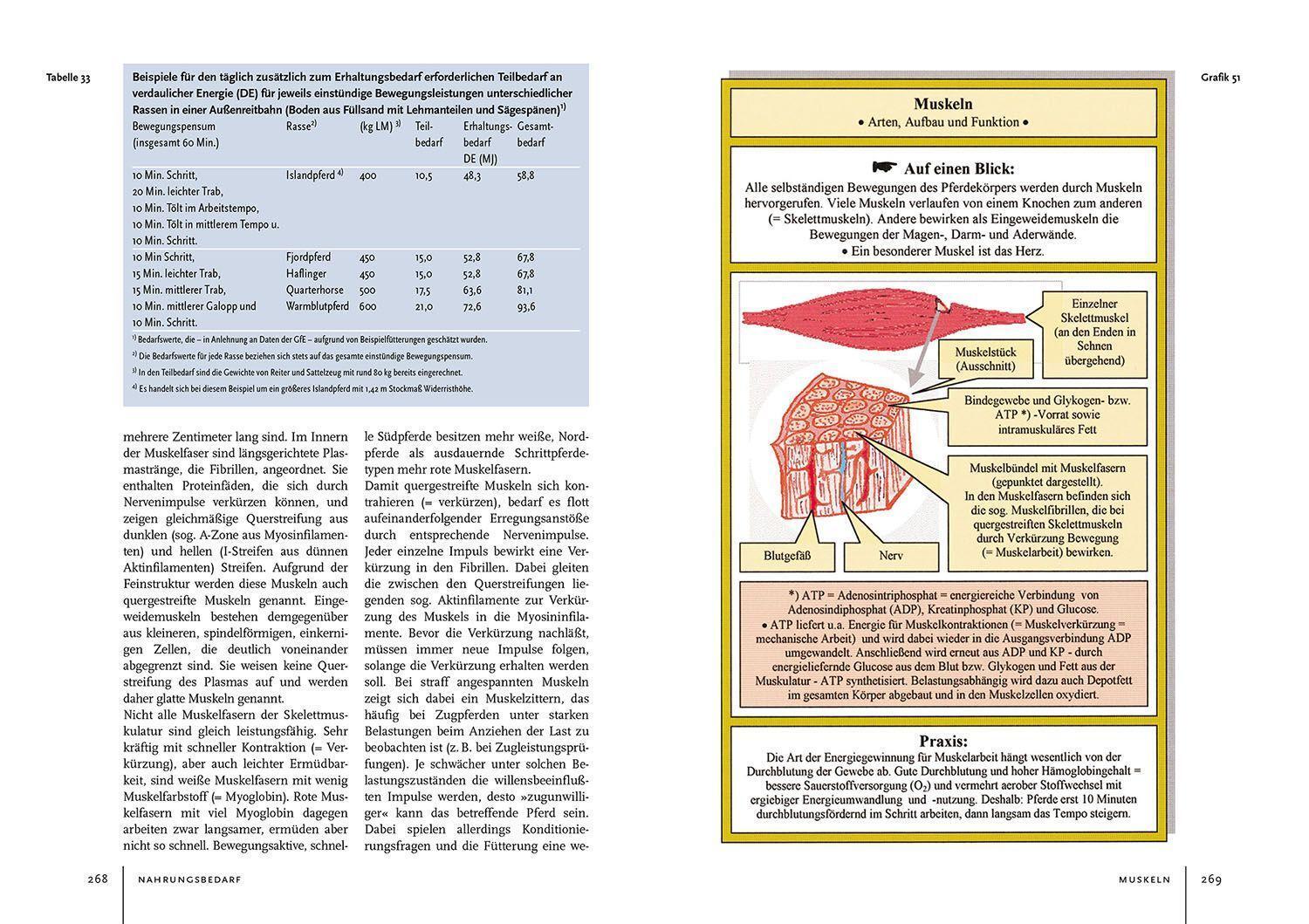 Bild: 9783440173220 | Pferdehaltung und -fütterung | Ingolf Bender | Buch | Deutsch | 2022