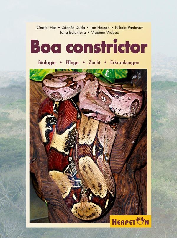 Cover: 9783936180213 | Boa constrictor | Biologie, Pflege, Zucht, Erkrankungen | Hes (u. a.)