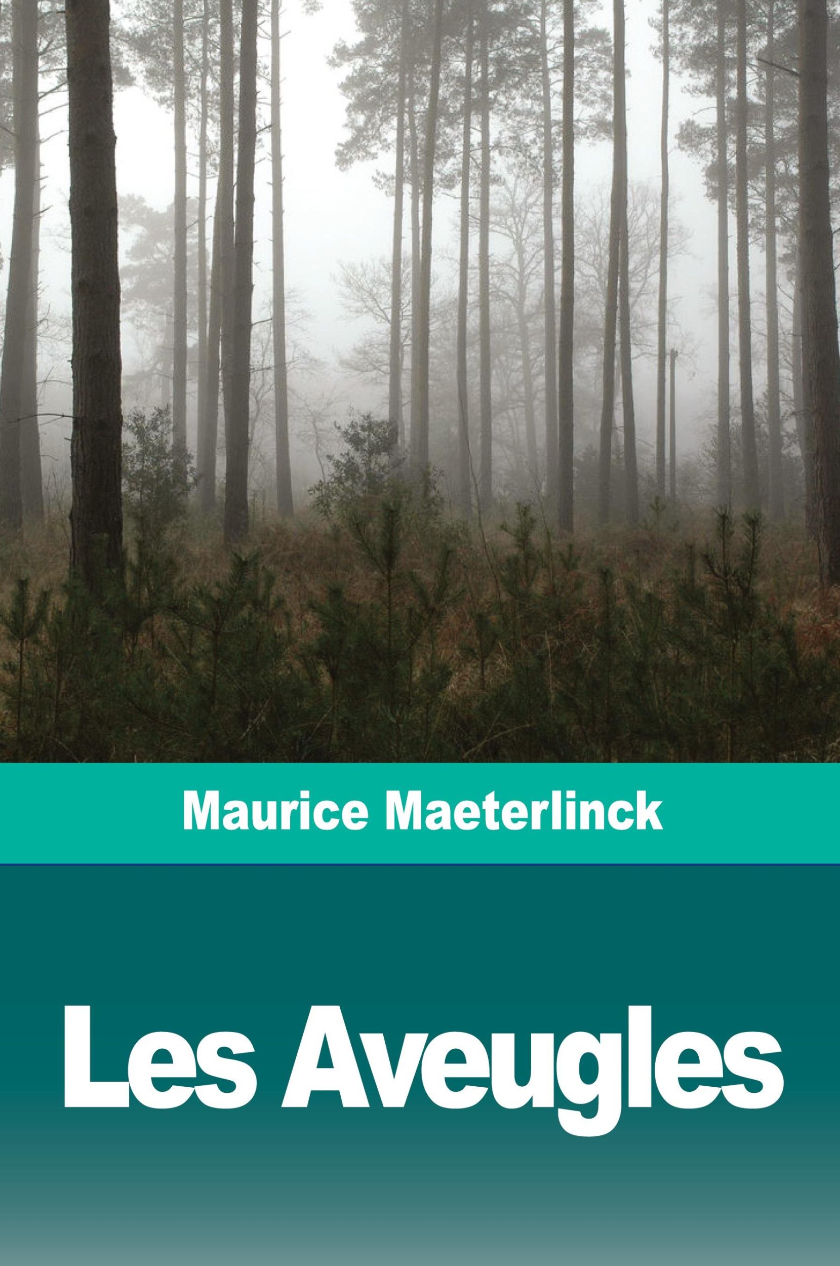 Cover: 9783967872712 | Les Aveugles | Maurice Maeterlinck | Taschenbuch | Französisch | 2020