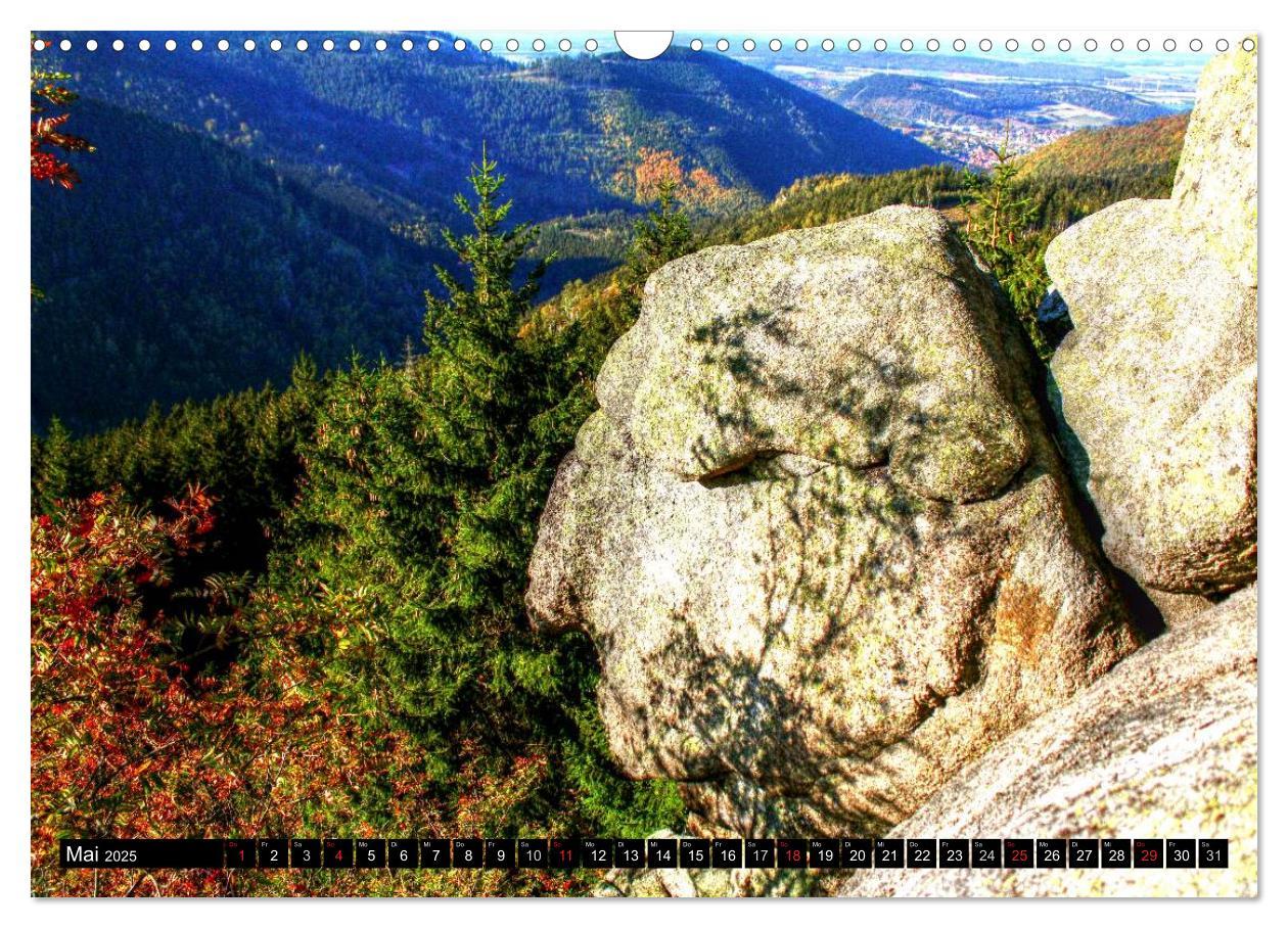 Bild: 9783435581962 | Verzauberter Harz (Wandkalender 2025 DIN A3 quer), CALVENDO...