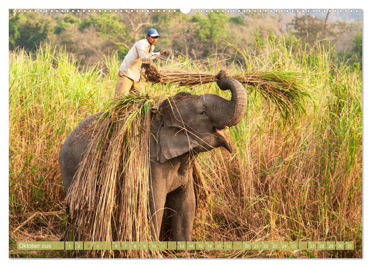 Bild: 9783457140598 | Einzigartige Naturkostbarkeiten aus Asien (Wandkalender 2025 DIN A2...