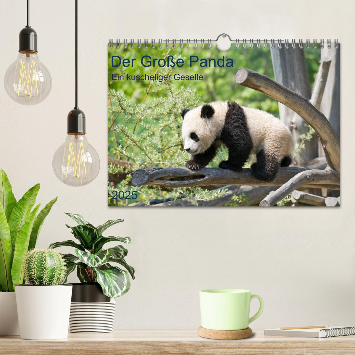 Bild: 9783435179428 | Der Große Panda Ein kuscheliger Geselle (Wandkalender 2025 DIN A4...