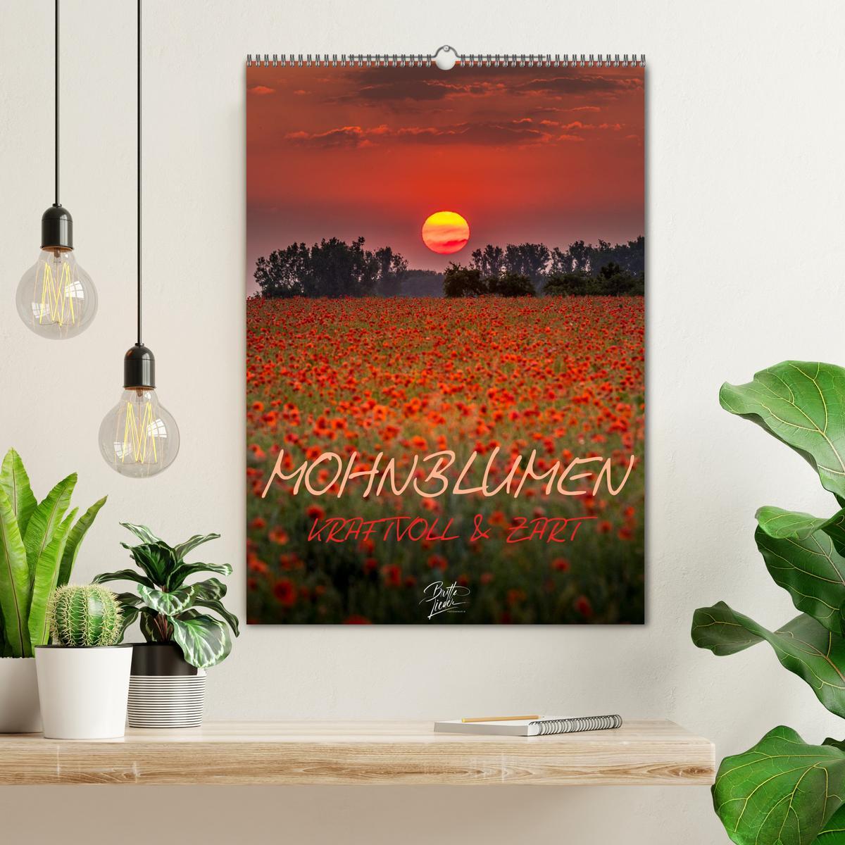 Bild: 9783435919758 | Mohnblumen - kraftvoll und zart (Wandkalender 2025 DIN A2 hoch),...