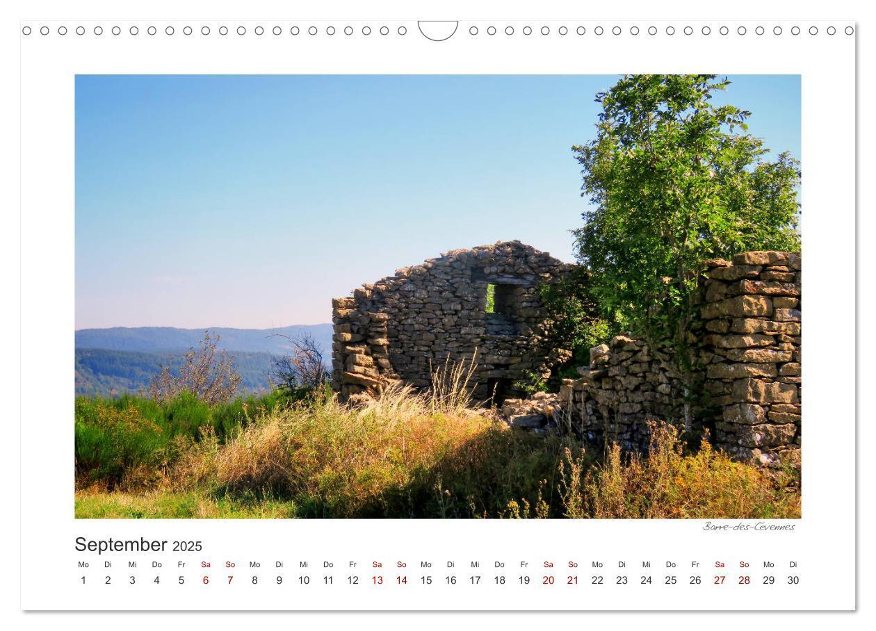 Bild: 9783435401239 | Typisch Cevennen (Wandkalender 2025 DIN A3 quer), CALVENDO...