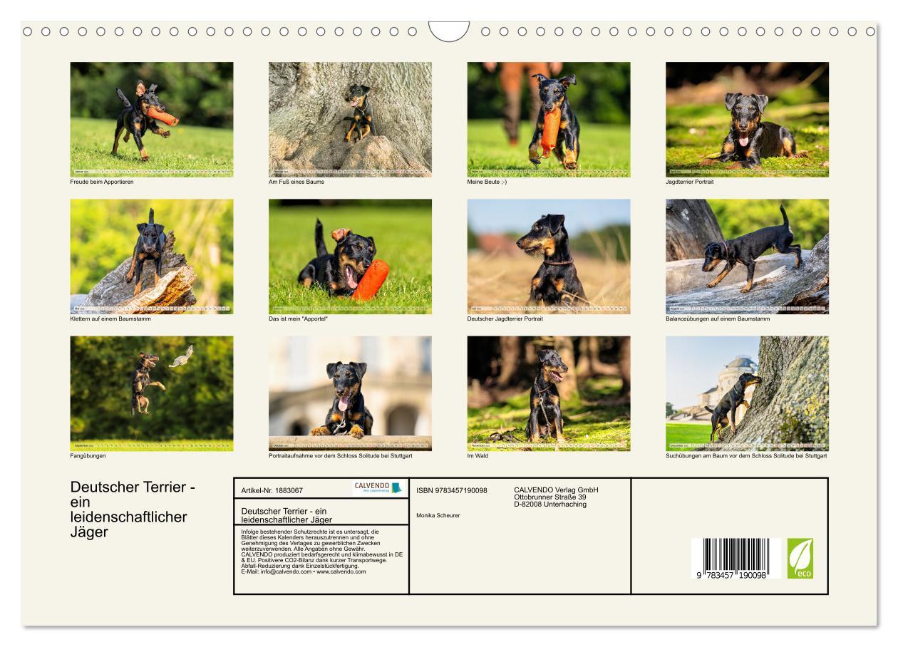 Bild: 9783457190098 | Deutscher Terrier - ein leidenschaftlicher Jäger (Wandkalender 2025...