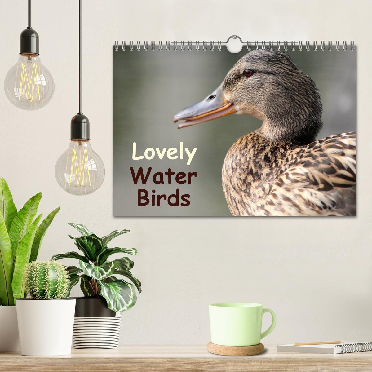 Bild: 9781325966127 | Lovely Water Birds (Wall Calendar 2025 DIN A4 landscape), CALVENDO...