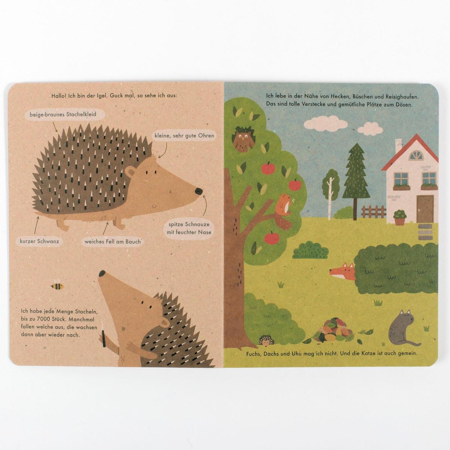 Bild: 9783407756701 | Ich bin der Igel | 100 % Naturbuch. Vierfarbiges Papp-Bilderbuch