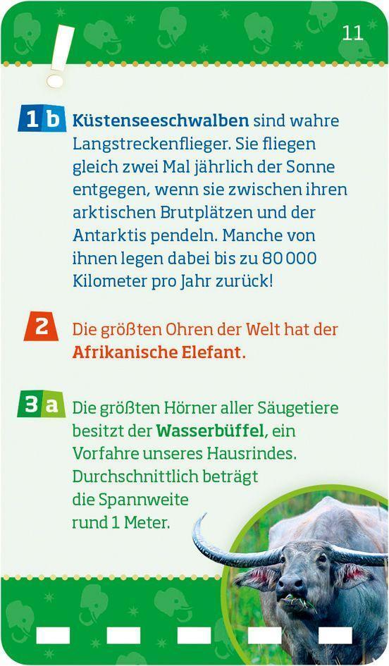 Bild: 9783788676834 | WAS IST WAS Quiz Rekorde der Tierwelt. | Inga Klingner | Taschenbuch