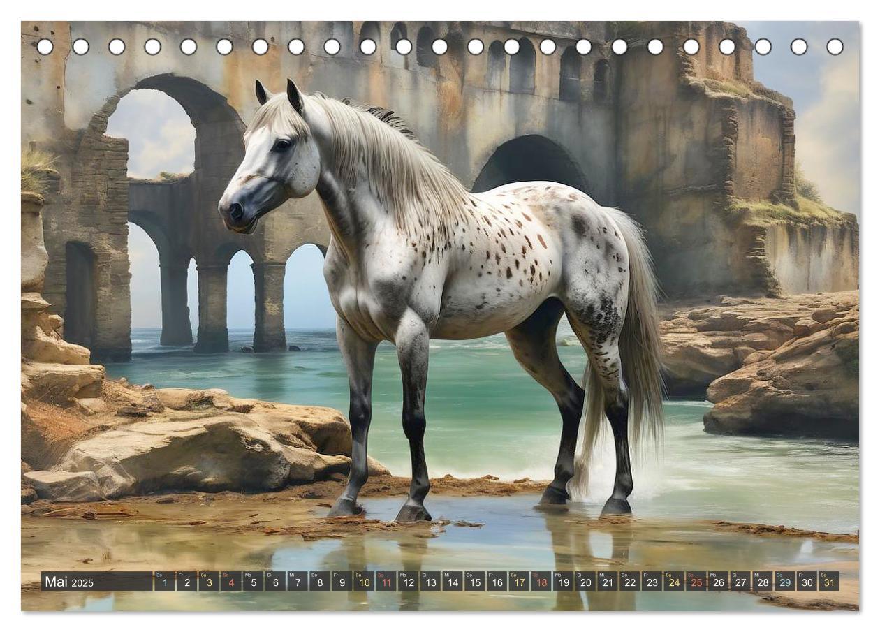 Bild: 9783457171042 | Schöne wilde Mustangs (Tischkalender 2025 DIN A5 quer), CALVENDO...