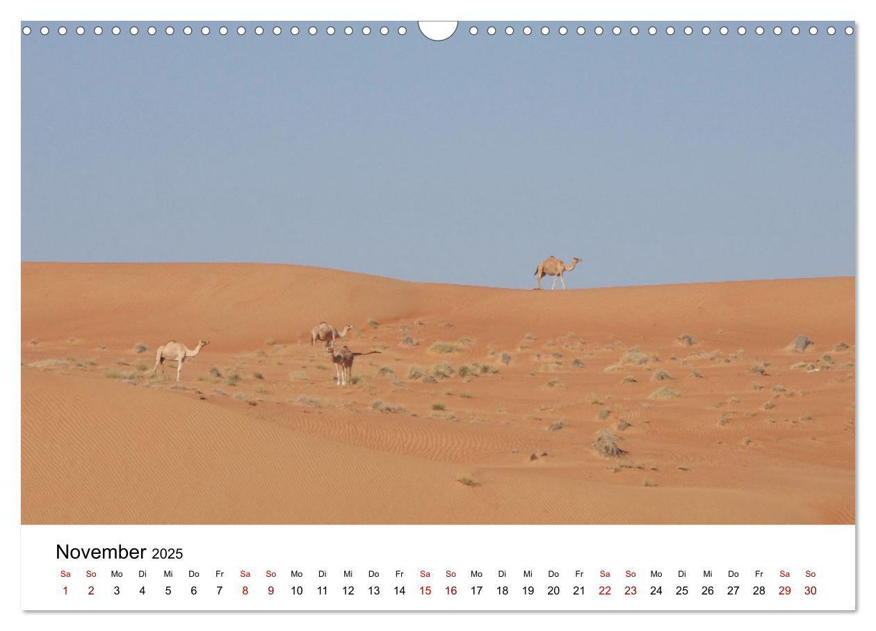 Bild: 9783435072354 | KAMELE... eine Reise durch den Oman. (Wandkalender 2025 DIN A3...