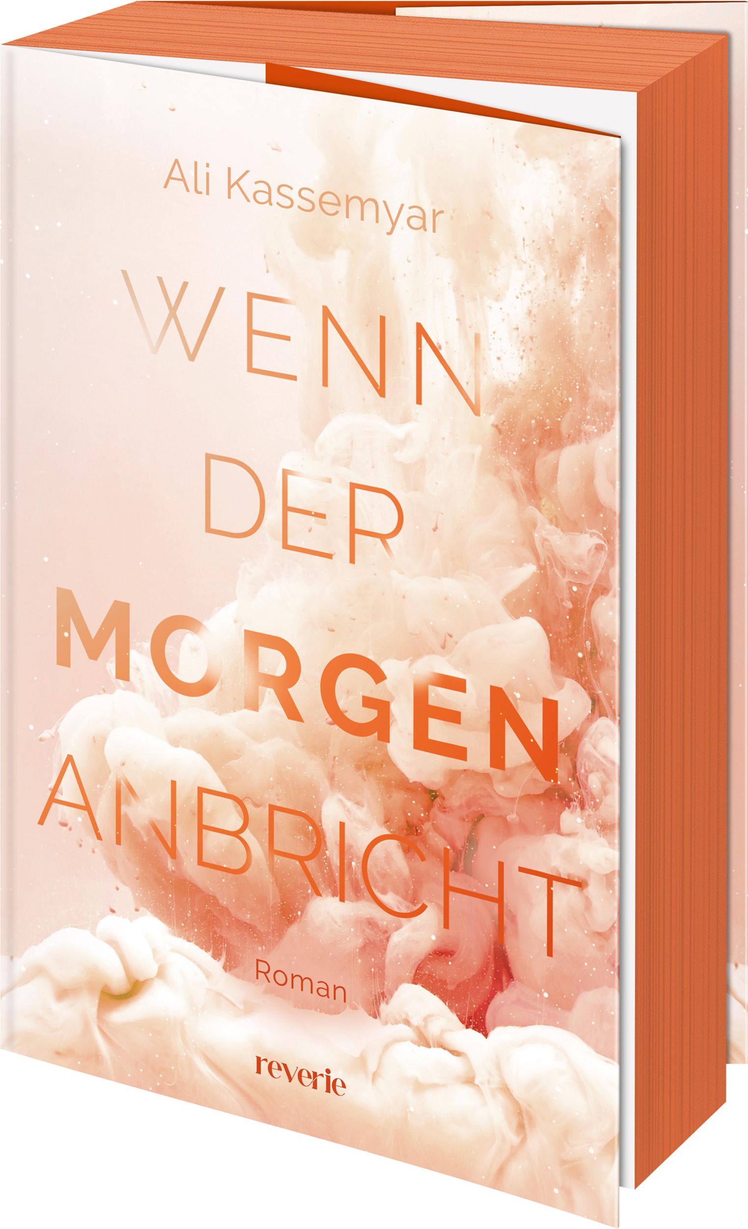 Cover: 9783745704433 | Wenn der Morgen anbricht | Ali Kassemyar | Taschenbuch | 304 S. | 2025