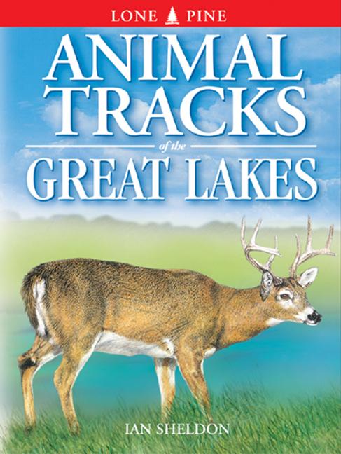 Cover: 9781551051079 | Animal Tracks of the Great Lakes | Ian Sheldon | Taschenbuch | 1997