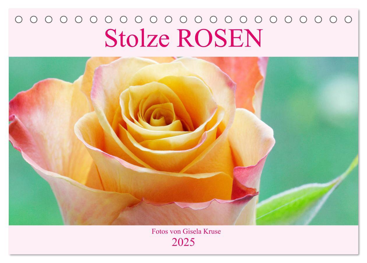 Cover: 9783435294534 | Stolze Rosen (Tischkalender 2025 DIN A5 quer), CALVENDO Monatskalender