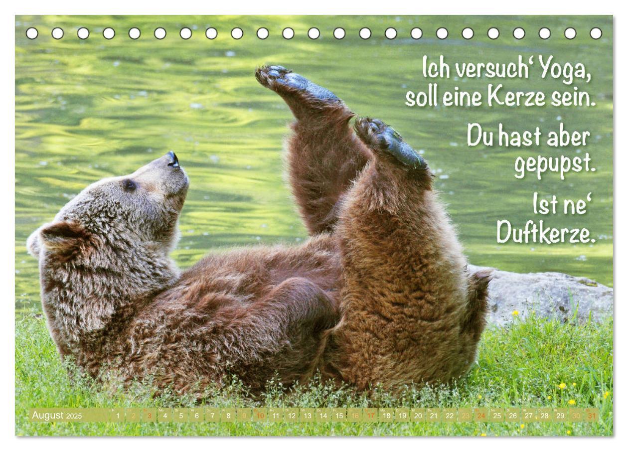 Bild: 9783383881855 | Spaß mit Bären: Edition lustige Tiere (Tischkalender 2025 DIN A5...