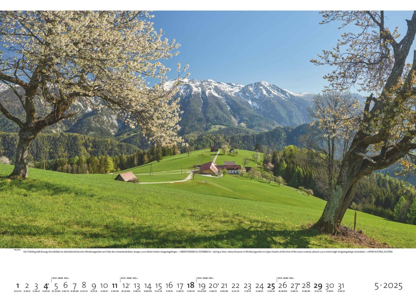 Bild: 4251734300775 | PALAZZI - Faszination Alpen 2025 Wandkalender, 70x50cm,...