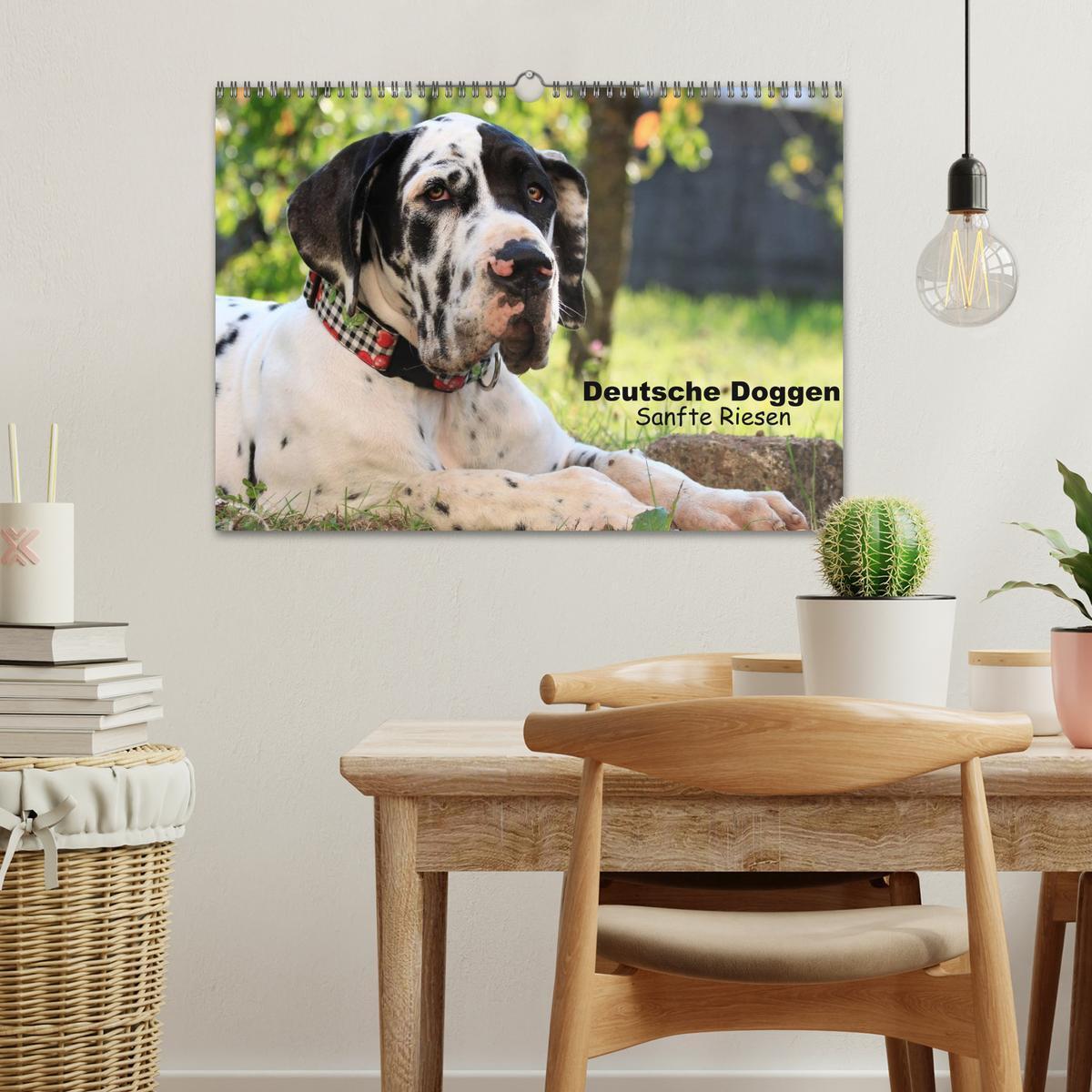 Bild: 9783435491841 | Deutsche Doggen - Sanfte Riesen (Wandkalender 2025 DIN A3 quer),...