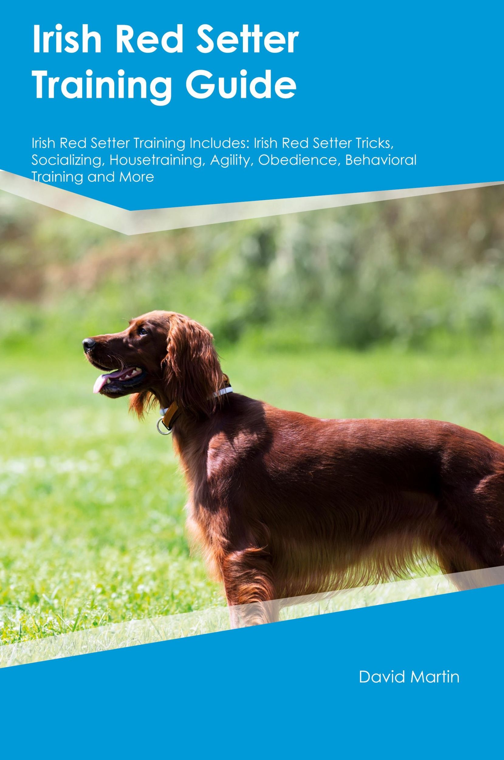 Cover: 9781395864491 | Irish Red Setter Training Guide Irish Red Setter Training Includes