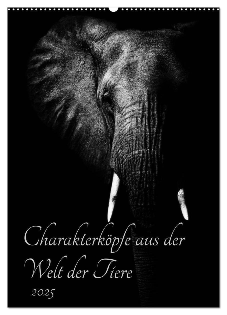 Cover: 9783457012840 | Charakterköpfe aus der Welt der Tiere (Wandkalender 2025 DIN A2...