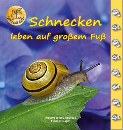 Cover: 9783930038220 | Schnecken | Heiderose Fischer-Nagel (u. a.) | Buch | 44 S. | Deutsch