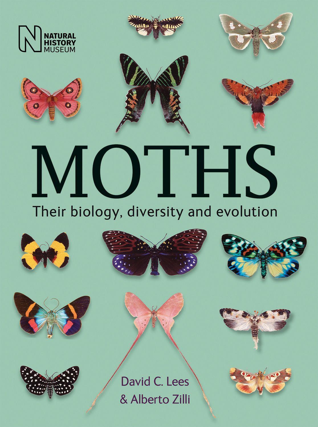 Cover: 9780565094577 | Moths | Their biology, diversity and evolution | Alberto Zilli (u. a.)