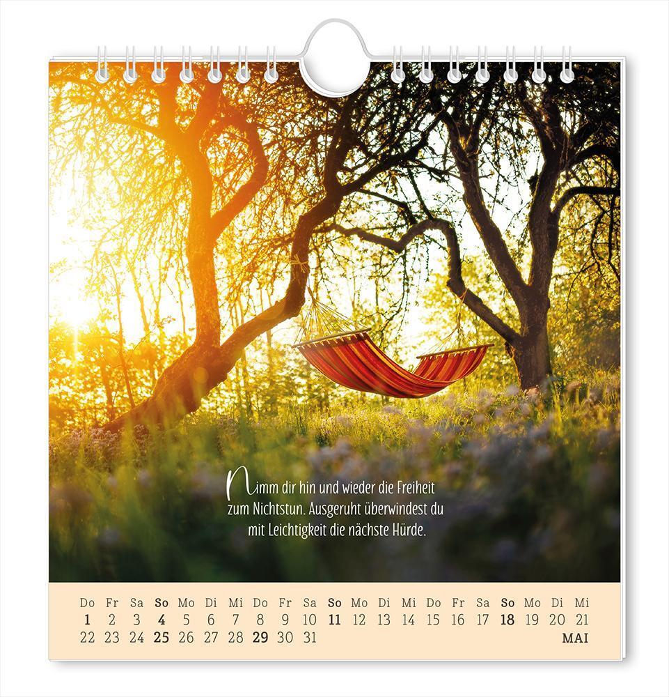 Bild: 9783986361181 | Postkartenkalender 2025 Lebenszeichen | Postkartenkalender | Original