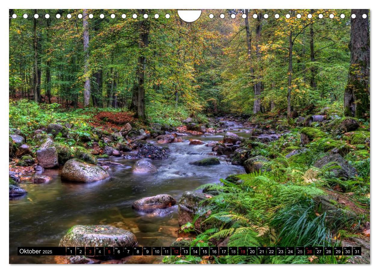 Bild: 9783435789979 | Harz Landschaften (Wandkalender 2025 DIN A4 quer), CALVENDO...