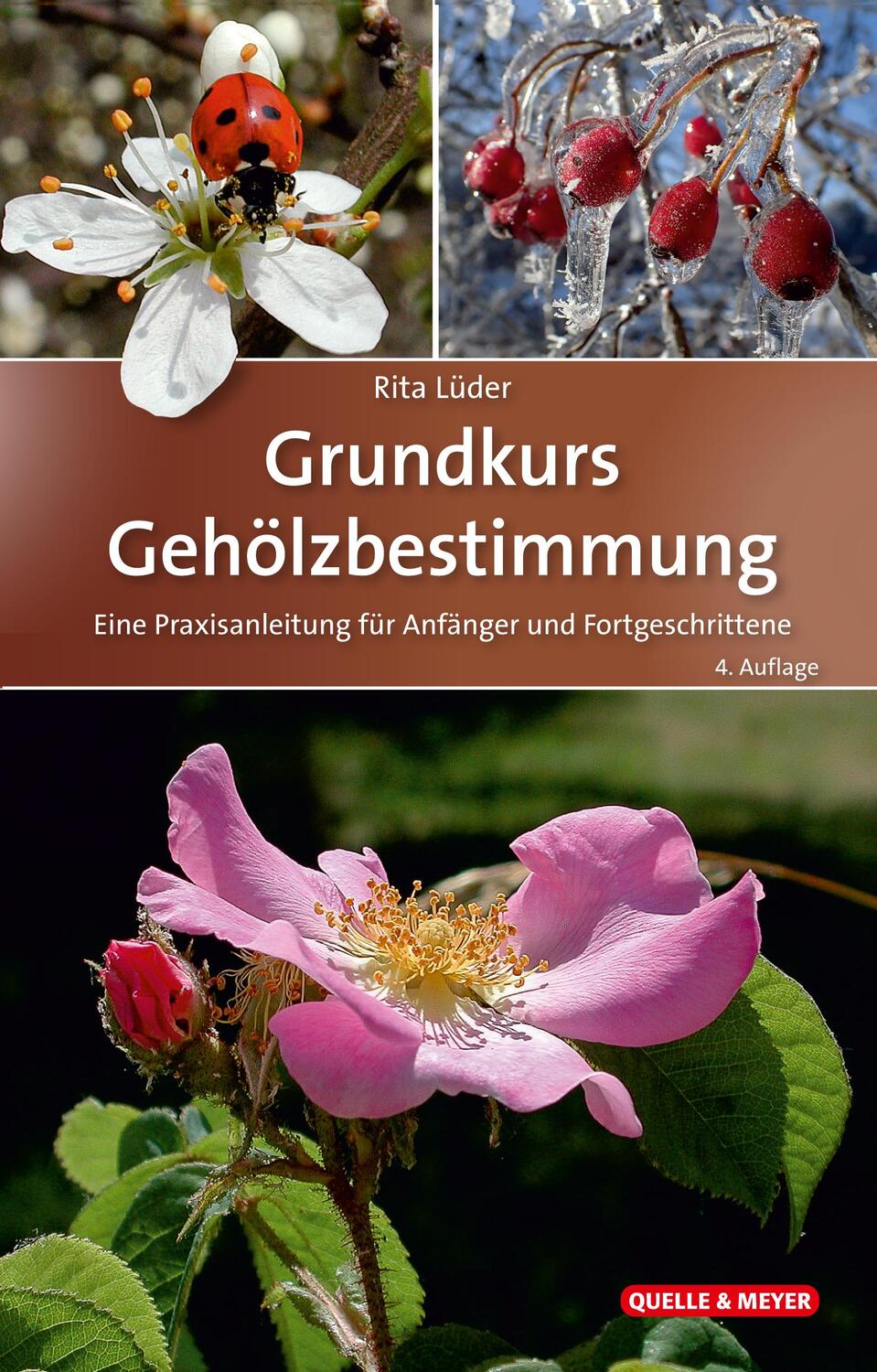 Cover: 9783494019154 | Grundkurs Gehölzbestimmung | Rita Lüder | Buch | 444 S. | Deutsch