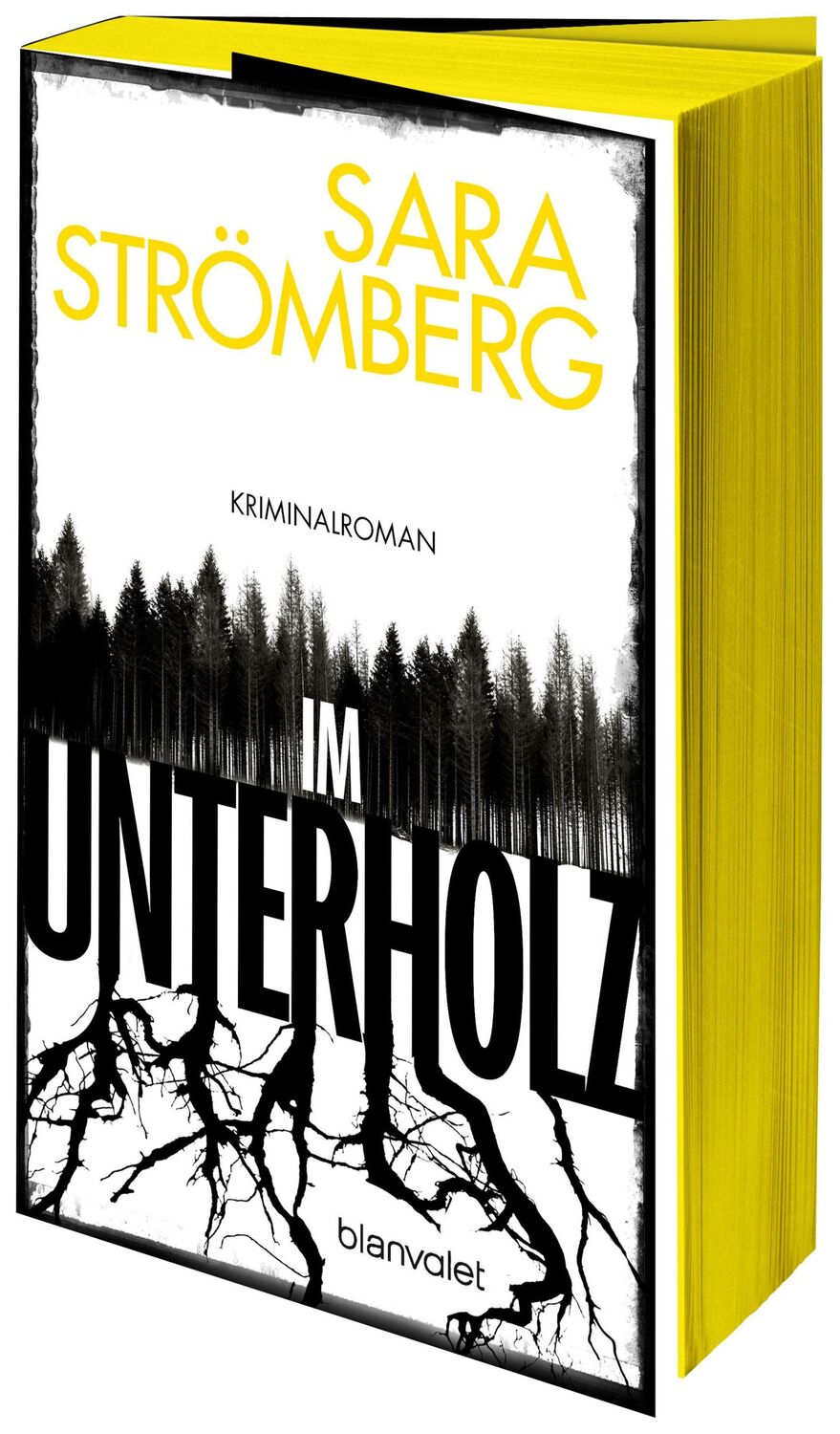 Cover: 9783764508616 | Im Unterholz | Sara Strömberg | Taschenbuch | 432 S. | Deutsch | 2024