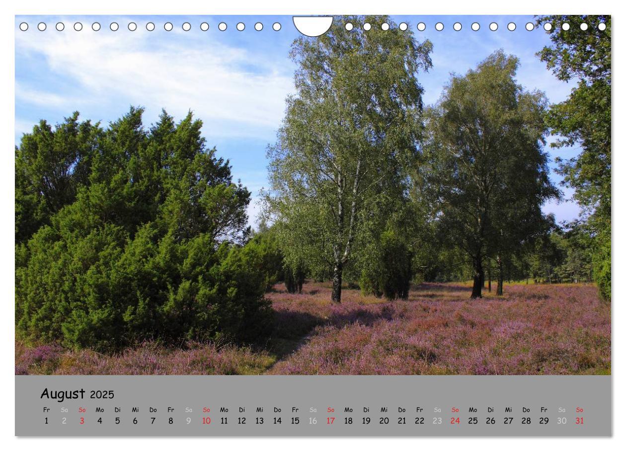 Bild: 9783435679232 | Lüneburger Heide - schön zu jeder Jahreszeit (Wandkalender 2025 DIN...