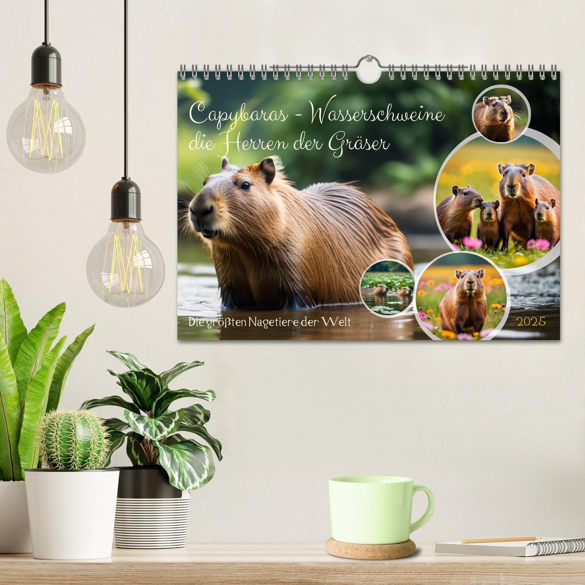 Bild: 9783457143759 | Capybaras - Wasserschweine die Herren der Gräser (Wandkalender 2025...