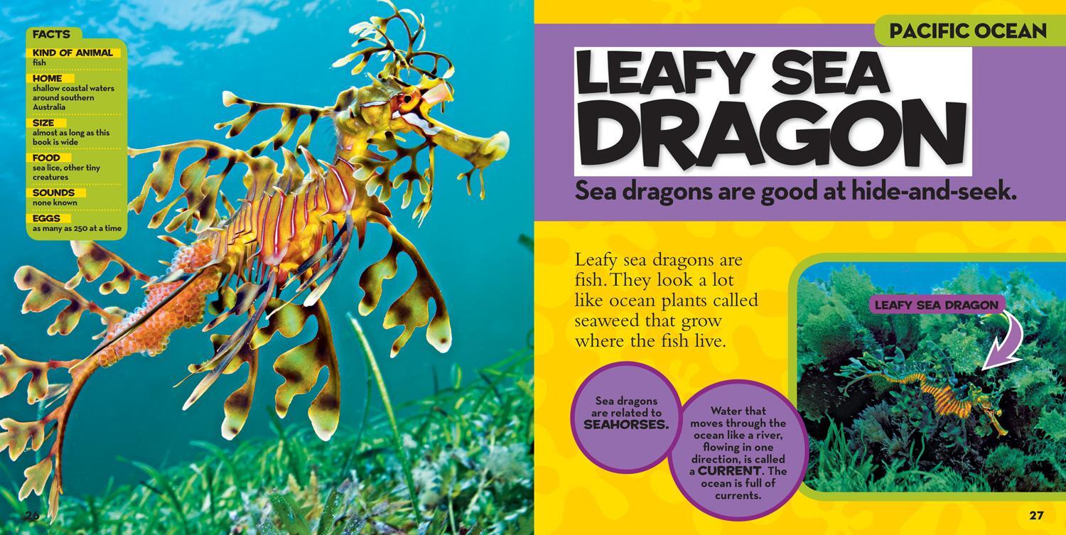 Bild: 9781426313684 | National Geographic Little Kids First Big Book of the Ocean | Hughes