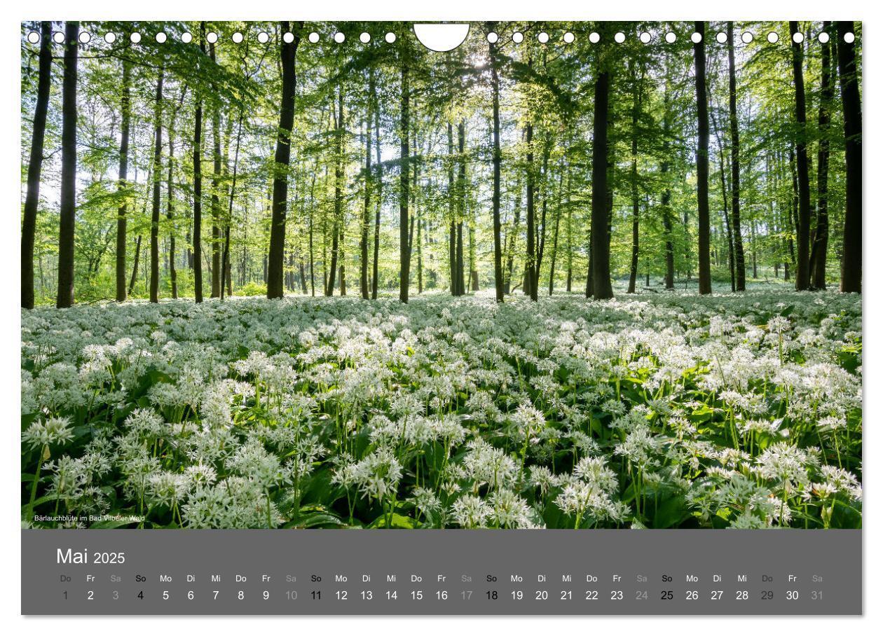 Bild: 9783435044931 | In und um BAD VILBEL (Wandkalender 2025 DIN A4 quer), CALVENDO...