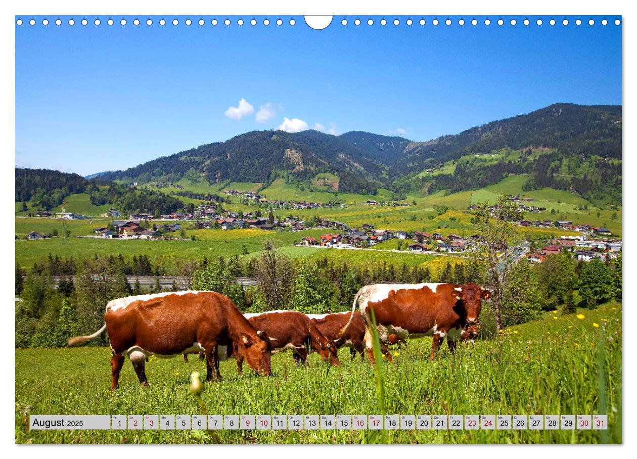 Bild: 9783435384952 | Herzliche Grüße aus Flachau (Wandkalender 2025 DIN A3 quer),...