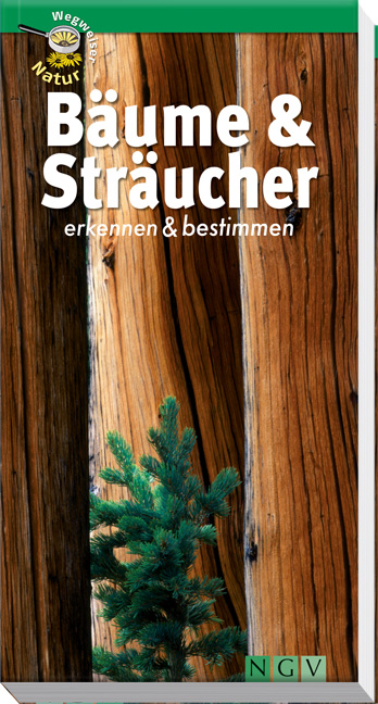 Cover: 9783625123798 | Bäume und Sträucher erkennen und bestimmen | Wegweiser Natur | Duperat