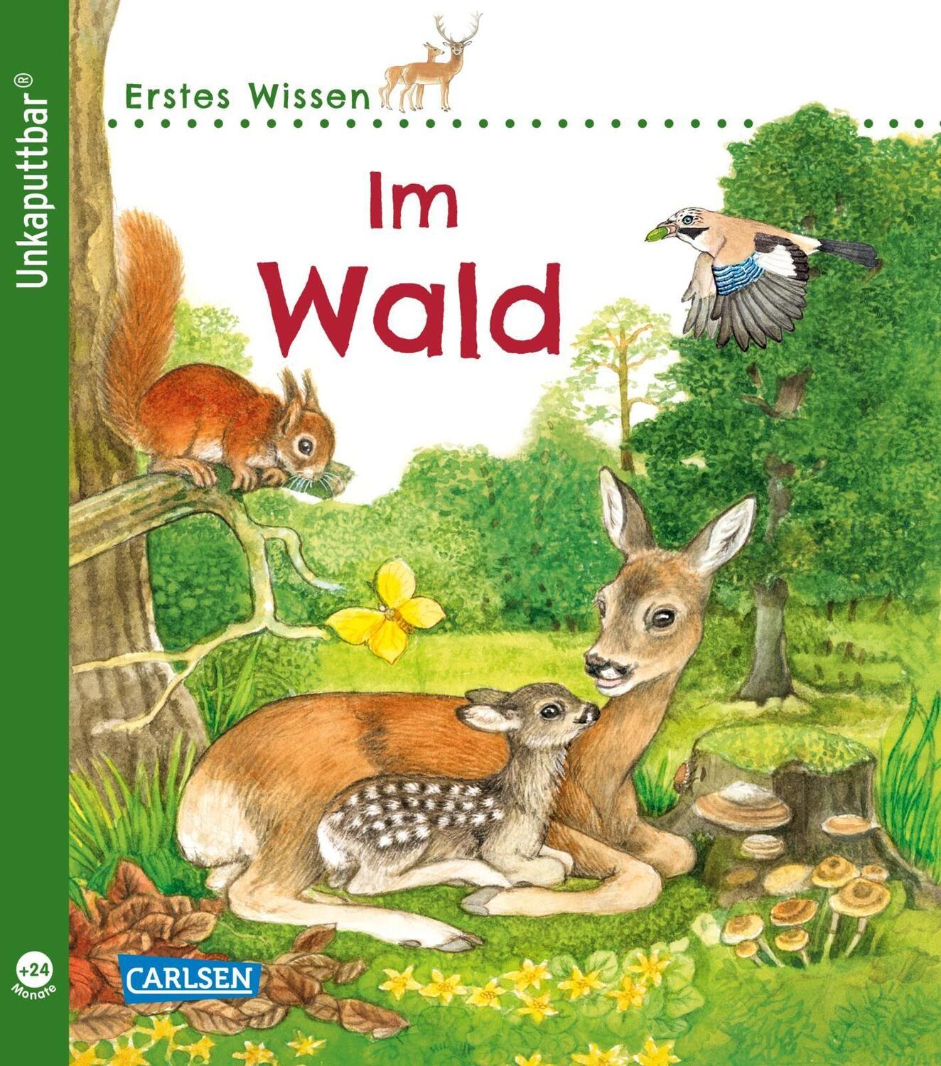 Cover: 9783551036087 | Unkaputtbar: Erstes Wissen: Im Wald | Petra Klose | Taschenbuch | 2020