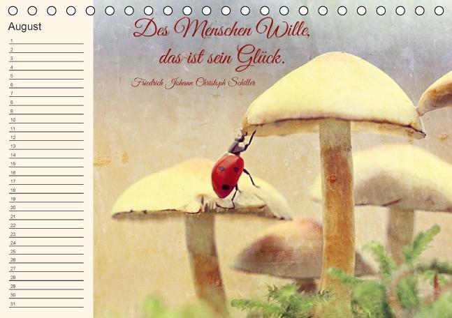 Bild: 9783660485752 | Spruchreifer Geburtstagskalender (Tischkalender immerwährend DIN A5...