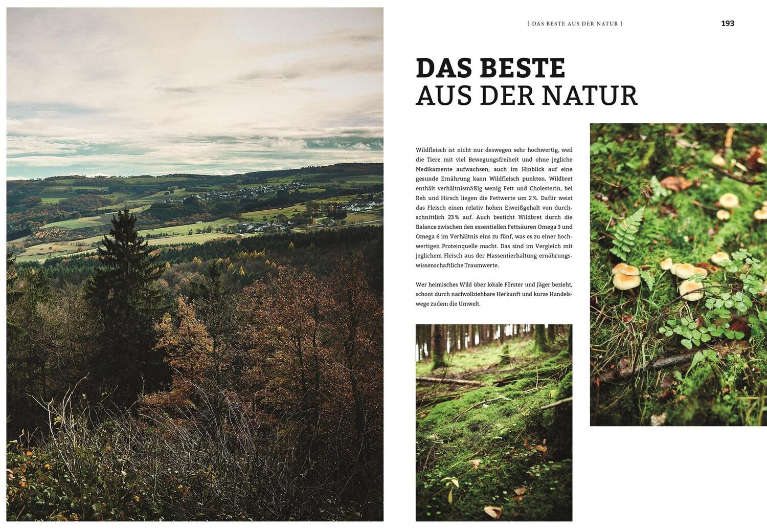 Bild: 9783831039876 | Wild | 200 junge Rezepte natürlich aus dem Wald | Harald Rüssel | Buch