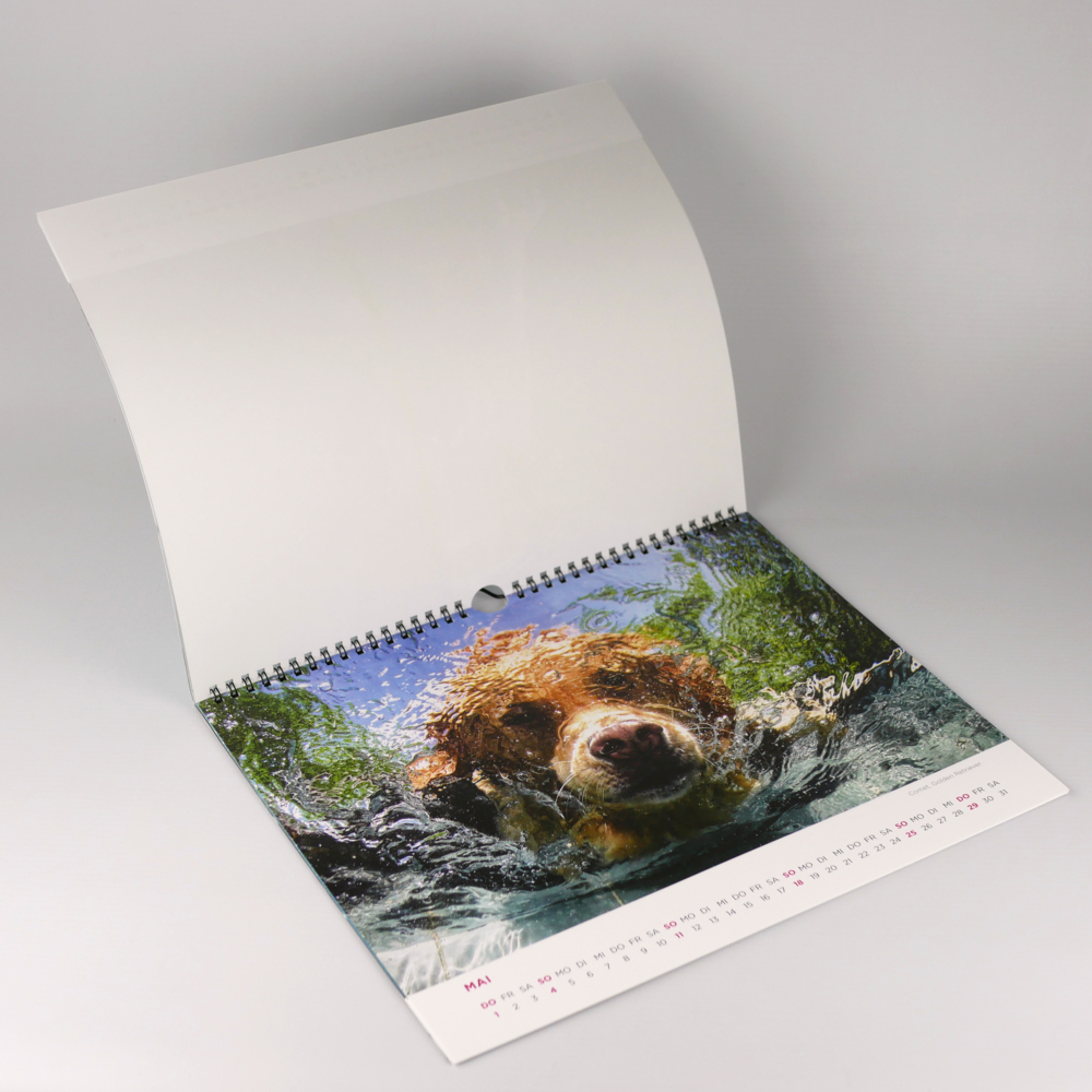 Bild: 9783742326331 | Hunde unter Wasser 2025 | Seth Casteel | Kalender | 14 S. | Deutsch