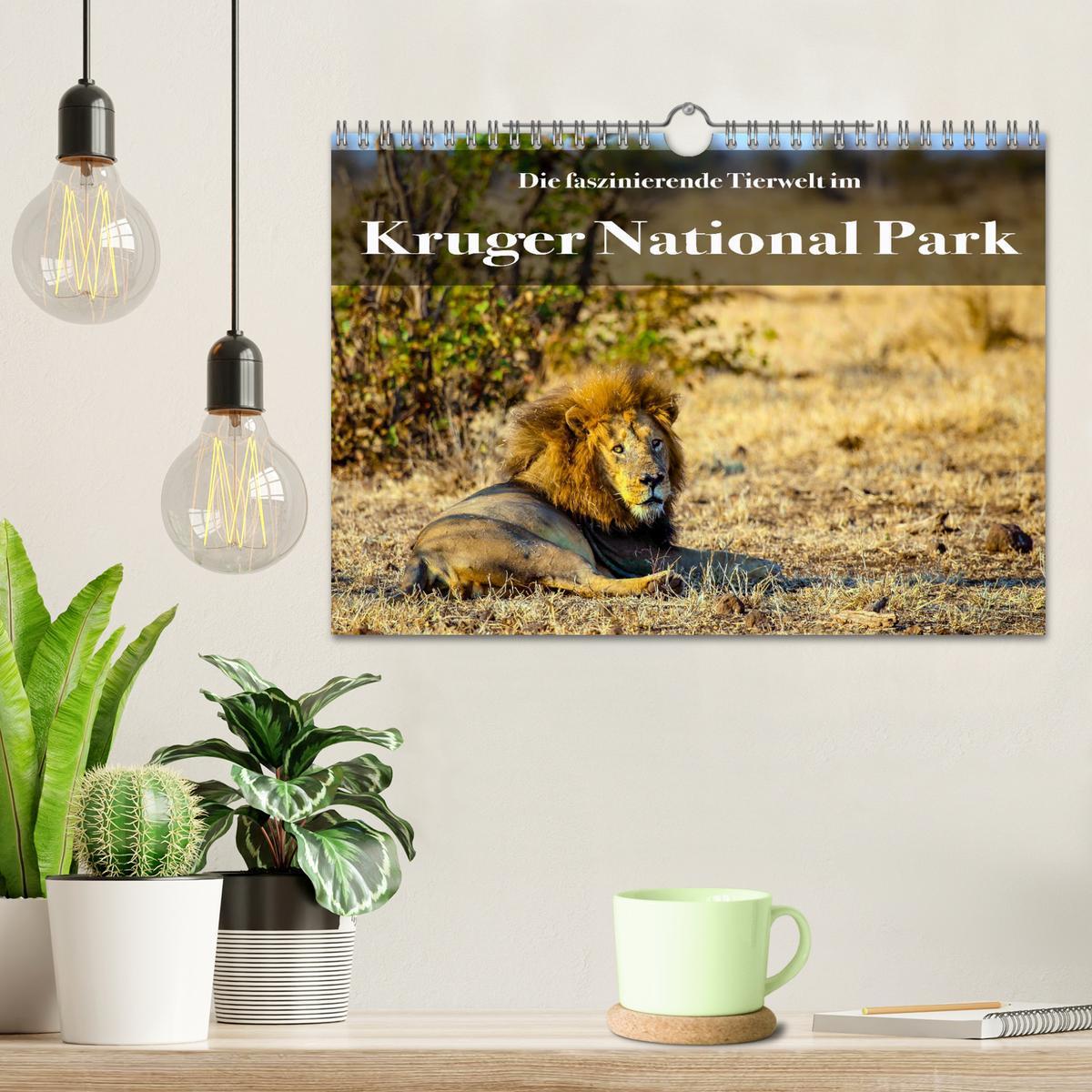 Bild: 9783435176182 | Faszinierende Tierwelt des Kruger National Parks (Wandkalender 2025...