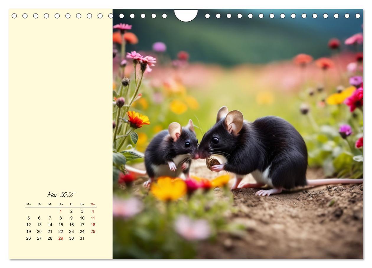 Bild: 9783457148594 | Goldige Mäuse im Grünen (Wandkalender 2025 DIN A4 quer), CALVENDO...