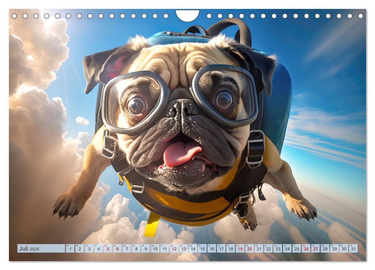 Bild: 9783383867149 | Hunde Skydiving (Wandkalender 2025 DIN A4 quer), CALVENDO...