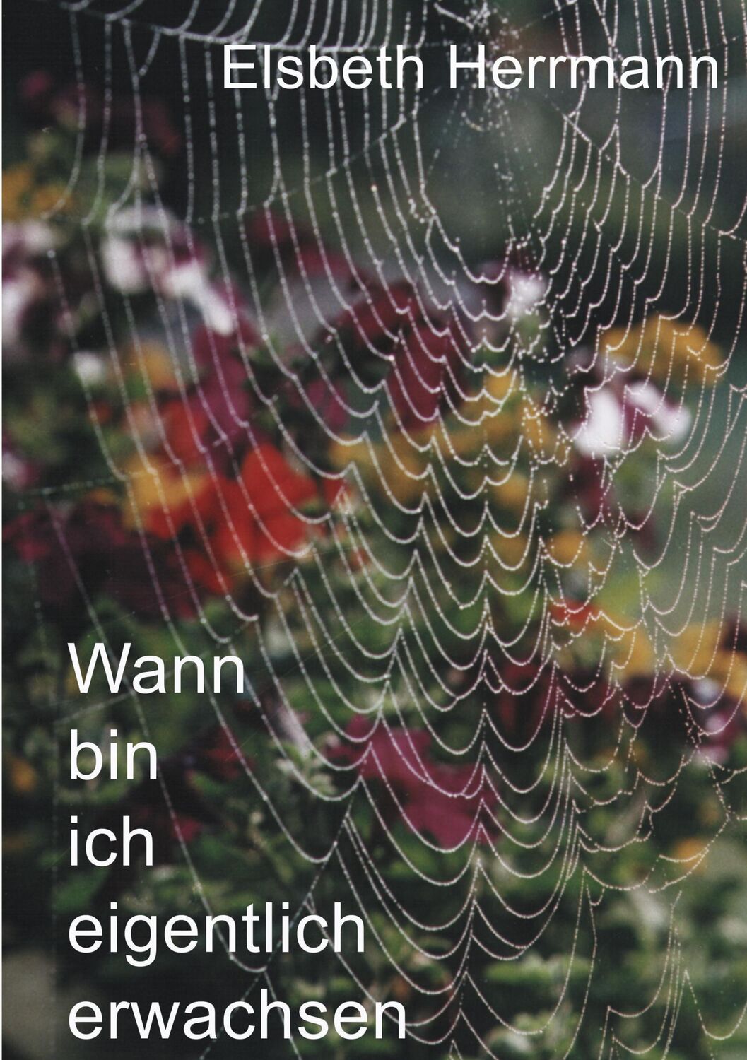 Cover: 9783831111381 | Wann bin ich eigentlich erwachsen | Elsbeth Herrmann | Taschenbuch