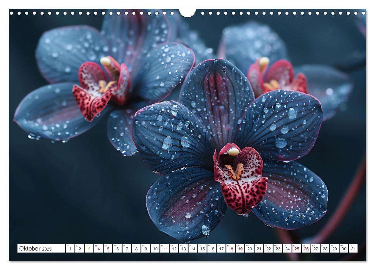 Bild: 9783457165126 | Orchideen - farbenfroh durchs Jahr (Wandkalender 2025 DIN A3 quer),...