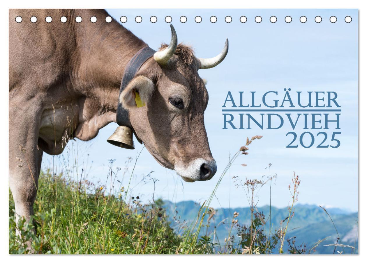 Cover: 9783383832192 | Allgäuer Rindvieh 2025 (Tischkalender 2025 DIN A5 quer), CALVENDO...