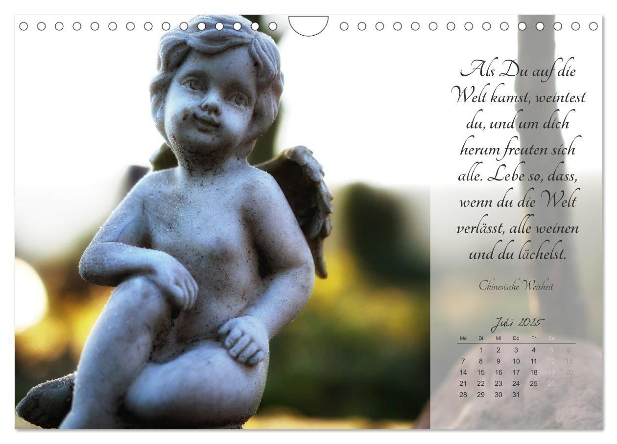 Bild: 9783435481422 | Engel - Träume und Zitate (Wandkalender 2025 DIN A4 quer), CALVENDO...